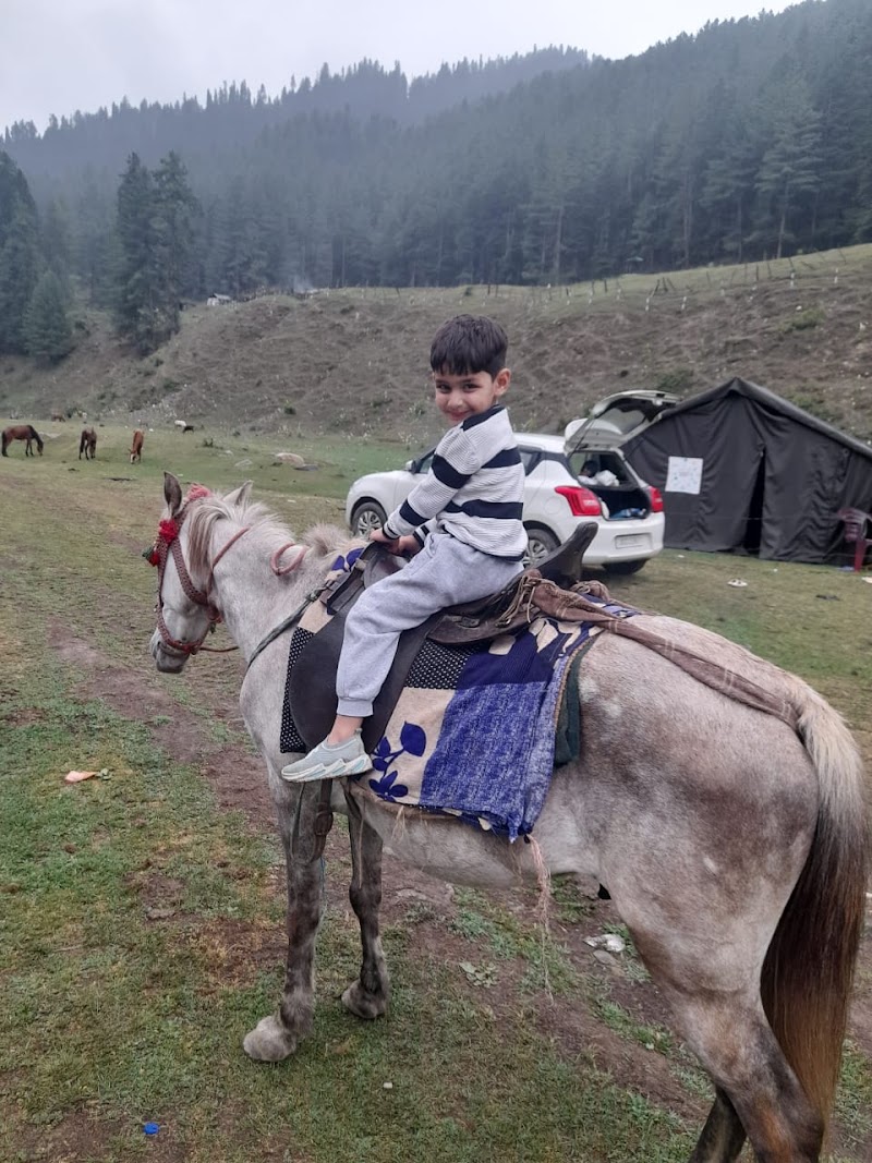 Jai valley Camping Ground - Jai valley Camping Ground 2QGF+VF7, Bhaderwah, 182203