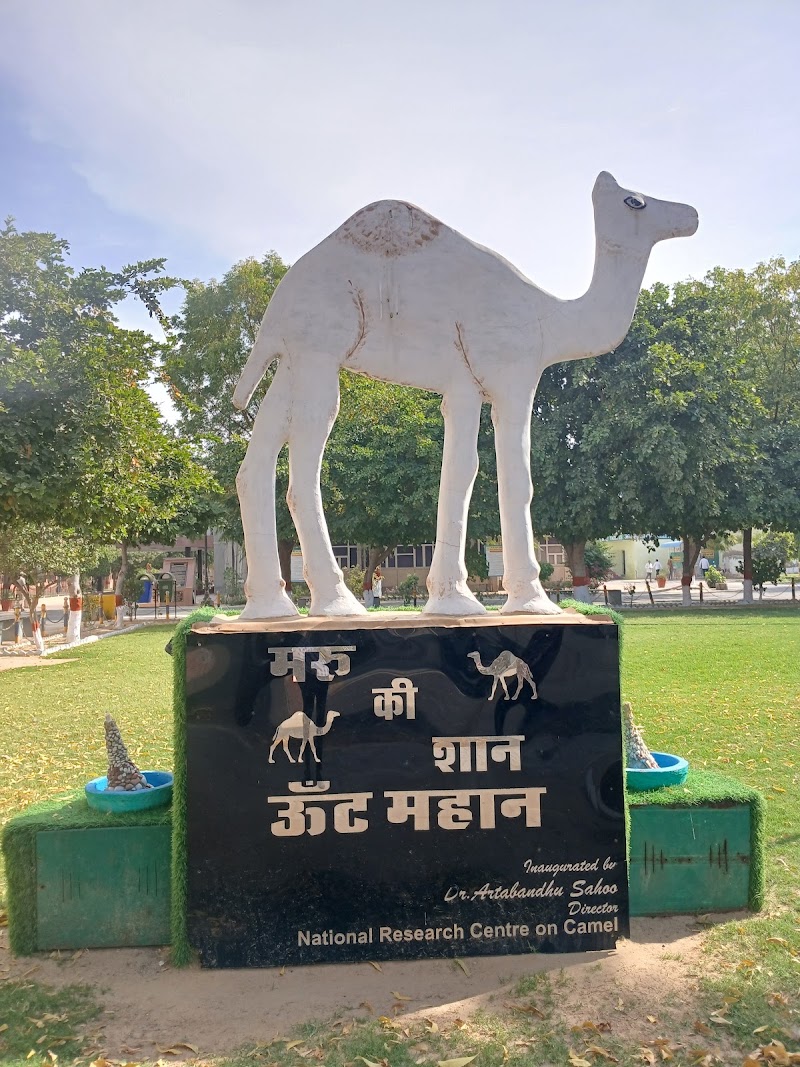 ICAR-National Research Centre on Camel - ICAR-National Research Centre on Camel, Shiv bari Jorbeer, Jodhpur Bypass, Bikaner, Joharbeeri, Rajasthan 334001, India