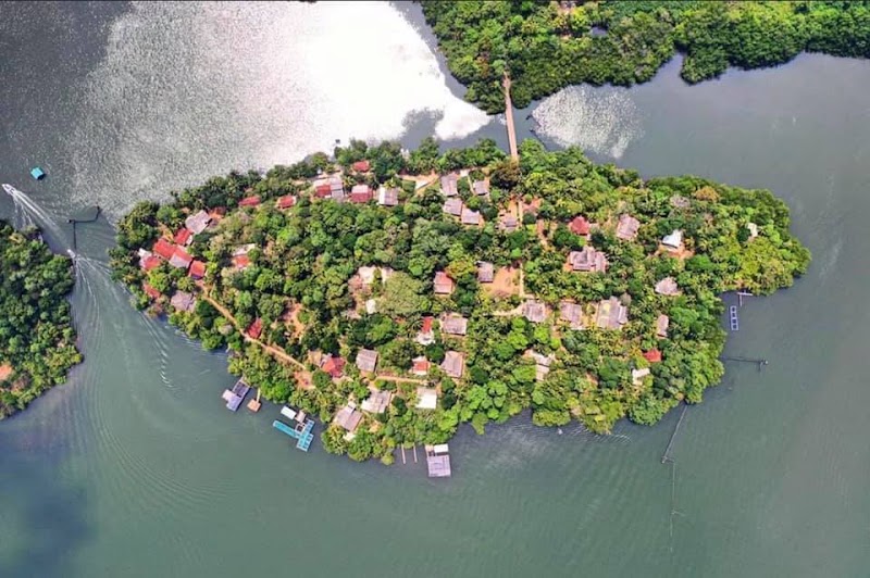 Madu River Safari මාදු ගඟේ බෝට් සෆාරි - Madu River Safari මාදු ගඟේ බෝට් සෆාරි, Near the Bridge, No.193/5 Galle Rd, Balapitiya 80550, Sri Lanka