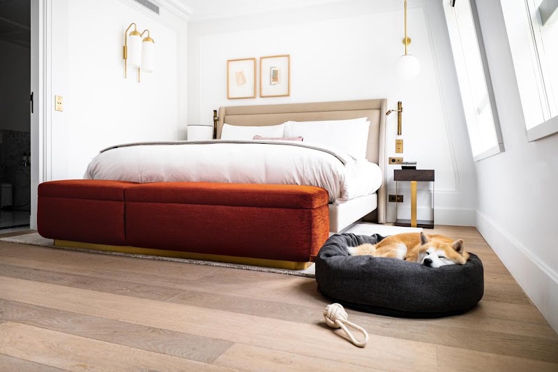 Kimpton St Honoré Paris - Kimpton St Honoré Paris 27 - 29 Bd des Capucines, 75002 Paris, France