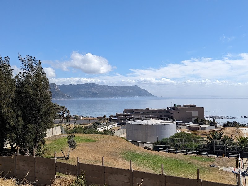 Simon's Town Harbour - Simon's Town Harbour, 136 St George's St, Simon's Town, Cape Town, 7995, South Africa