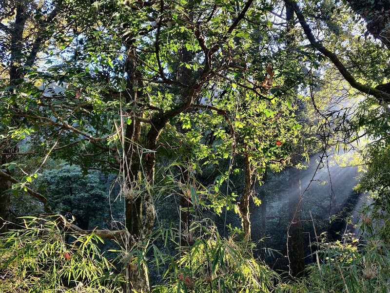 Ayarpatta - Ayarpatta, Nainital, Uttarakhand 263001, India