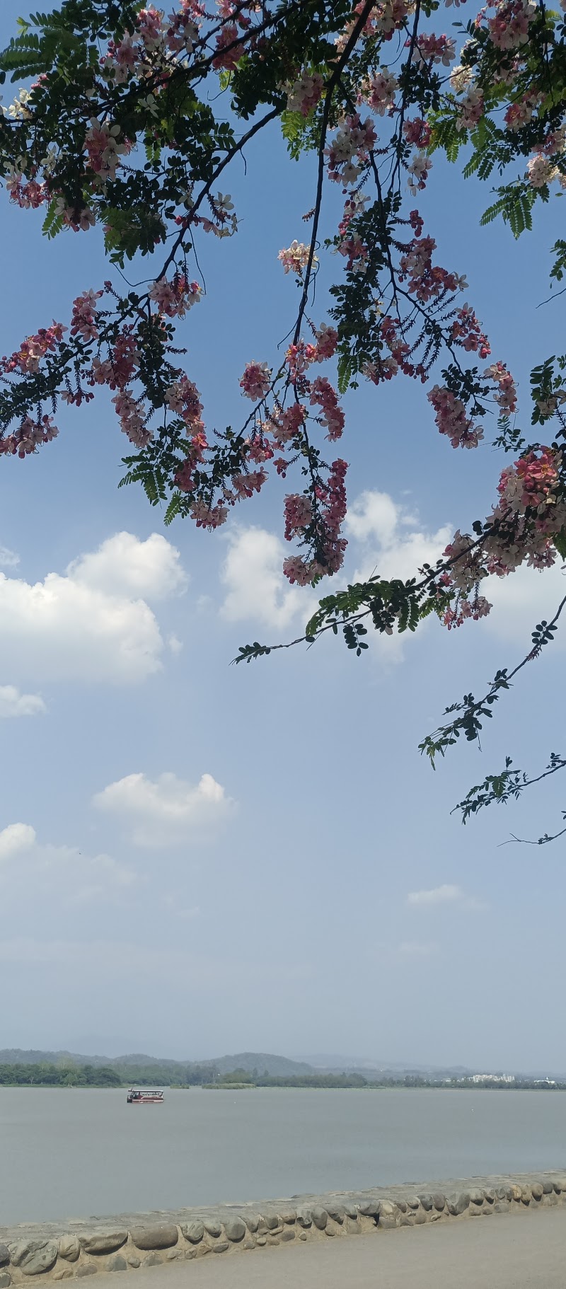 Bird watching area - Bird watching area 6084, Modern Housing Complex, Sector 13, Chandigarh, 160001, India