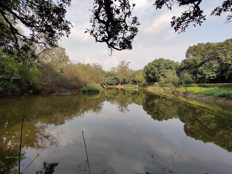 Butterfly Park, 26 Chandigarh - Butterfly Park, 26 Chandigarh Nitttr, Sector 26, Chandigarh, 160019, India