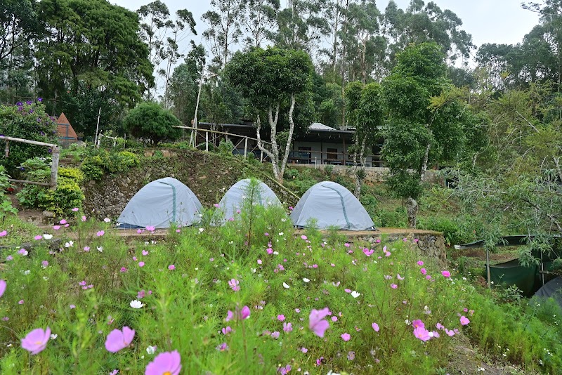 Campper Camp Woody Munnar - Campper Camp Woody Munnar, Camp Woody, Gundumalai Rd, Suryanelli, Kerala 685613, India