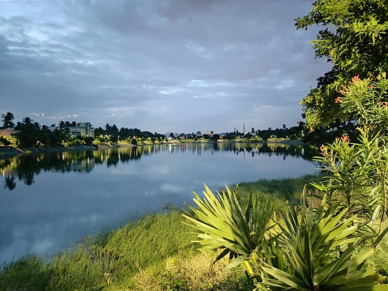 Puzhuthivakkam Lake - Puzhuthivakkam Lake 11/10, Elumalai Nagar, Annai Theresa Nagar, Adambakkam, Chennai, Tamil Nadu 600091, India