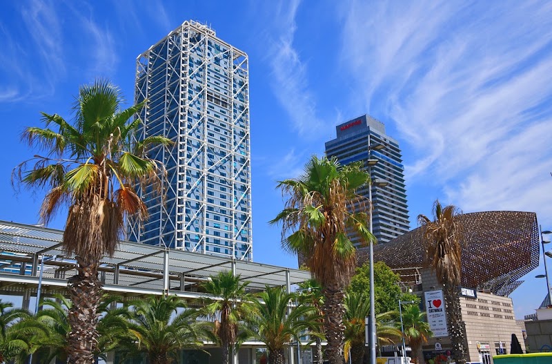 Free Walking Tours Barcelona - Free Walking Tours Barcelona, Pl. Reial, s/n, Ciutat Vella, 08002 Barcelona, Spain