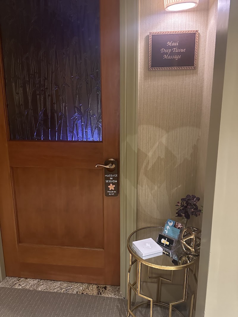 Maui Deep Tissue Massage LLC - Maui Deep Tissue Massage LLC 161 Wailea Ike Pl Suite A-105, Wailea, HI 96753, USA