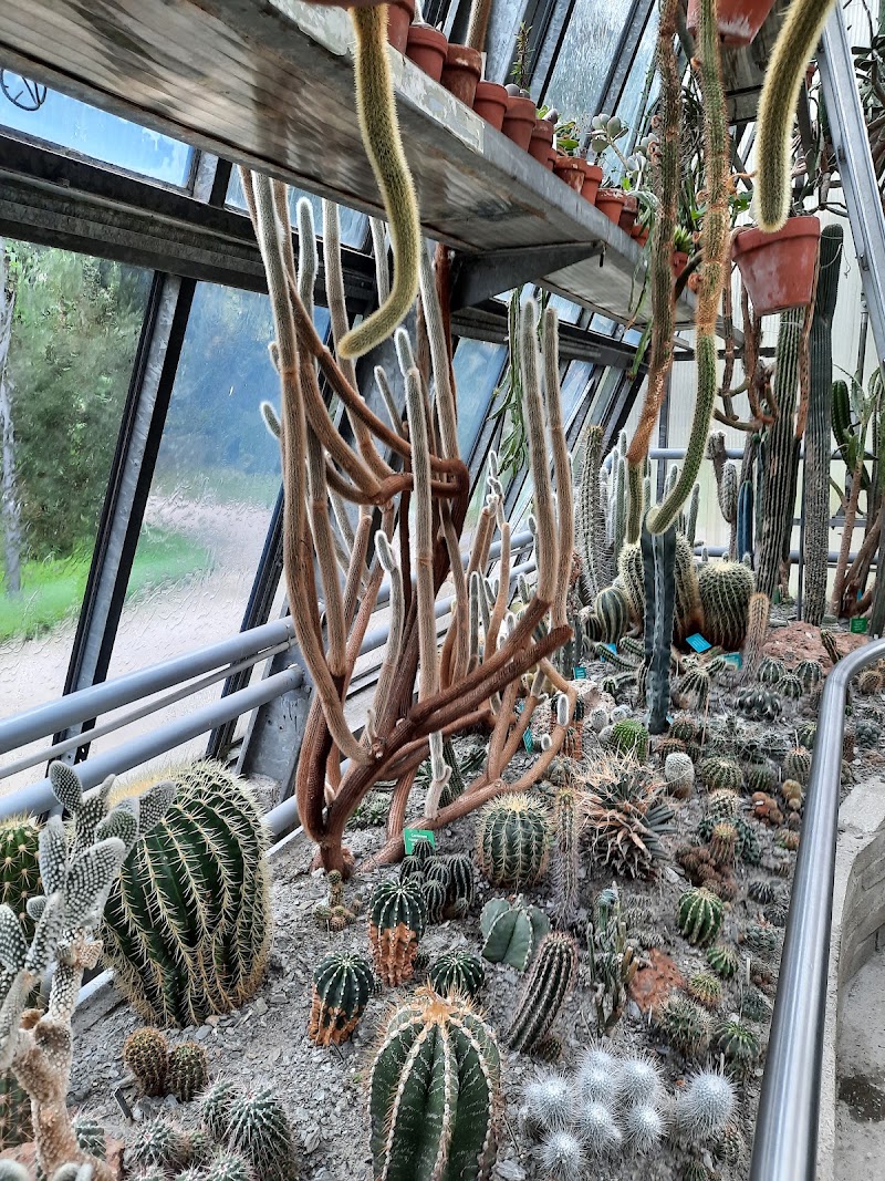 Palmenhaus im Hofgarten - Palmenhaus im Hofgarten Rennweg 12, 6020 Innsbruck, Austria