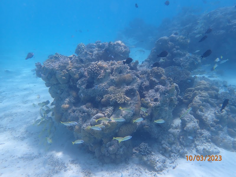 Sandbank Rasdhoo - Sandbank Rasdhoo, 7292+VG, Rasdhoo, Maldives
