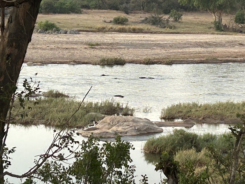 Balule Nature Reserve - Balule Nature Reserve, PWG2+53, 1380, South Africa