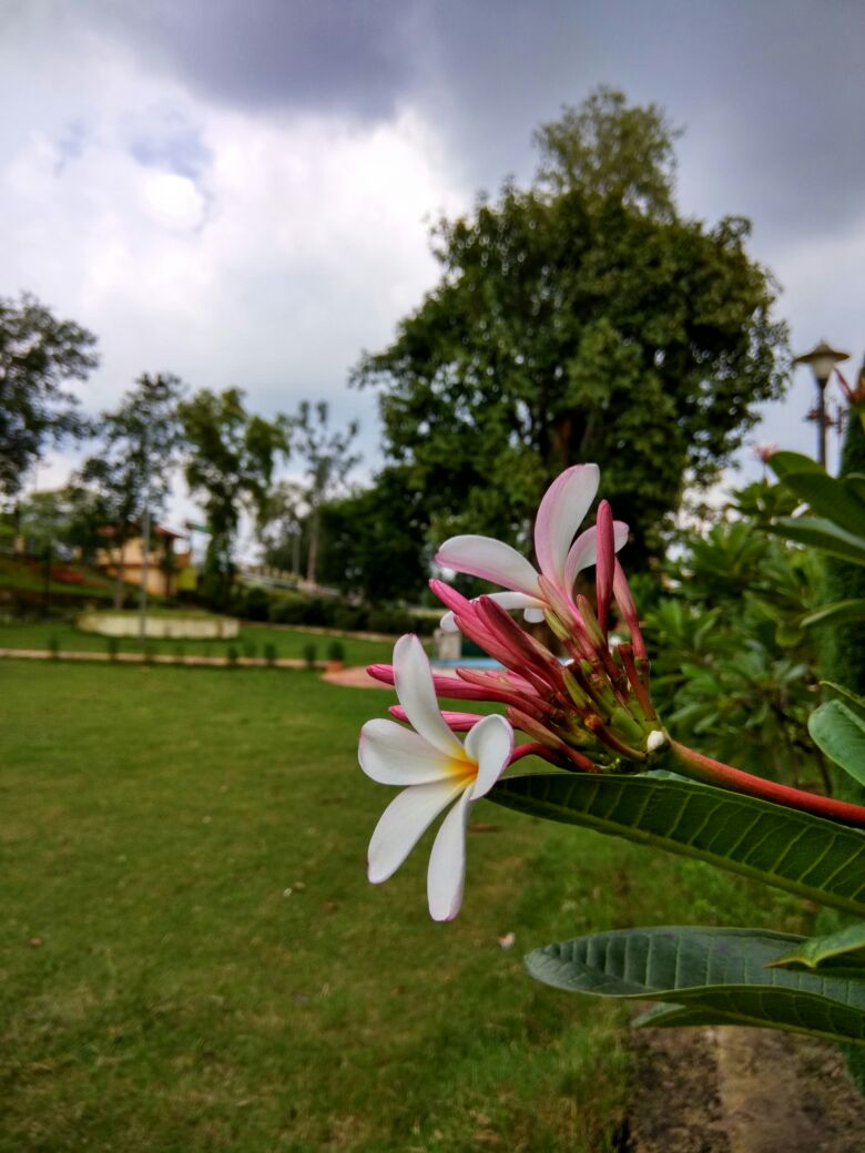 Pushp Vatika Bal Udyan - Pushp Vatika Bal Udyan, WC24+P3W, Madhuban Para, Raigarh, Chhattisgarh 496001, India