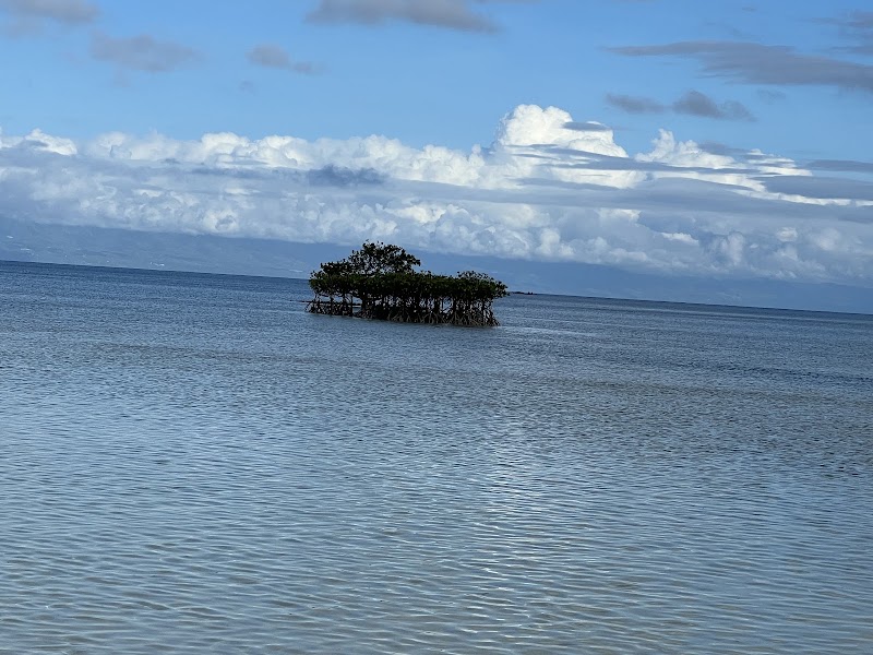 Wow Bohol Tours - Wow Bohol Tours, Purok 1 Tipolo, Panglao, 6300 Bohol, Philippines
