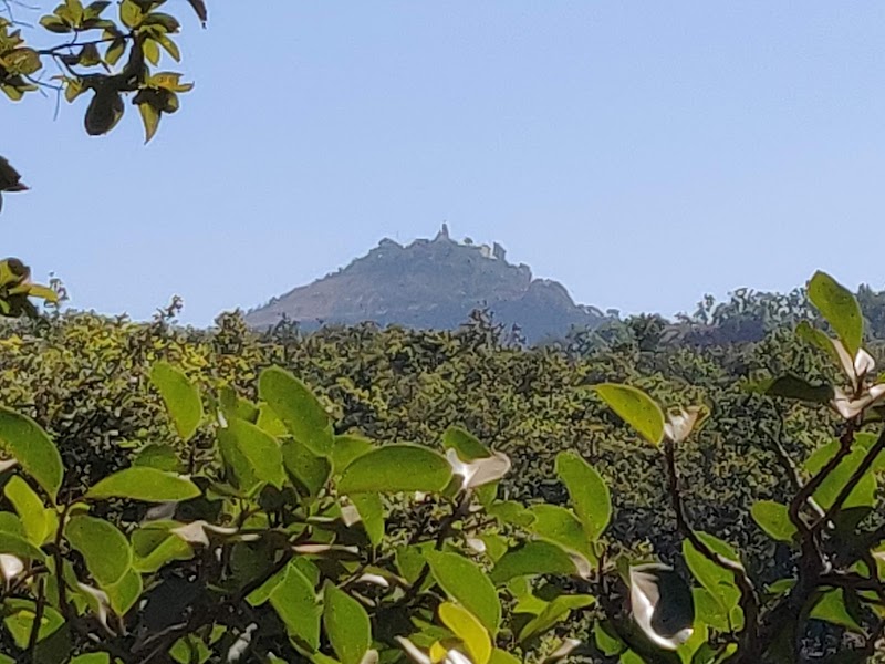 Handi Khoh, MP - Handi Khoh, MP CCQG+X2V, Pachmarhi Cantt, Madhya Pradesh 461881, India