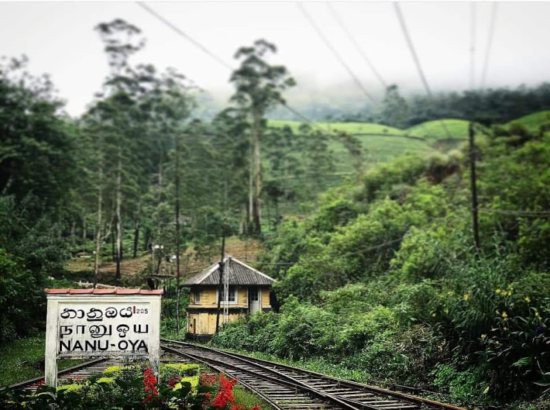 Nanu Oya - Nanu Oya, Nuwara Eliya 22200, Sri Lanka