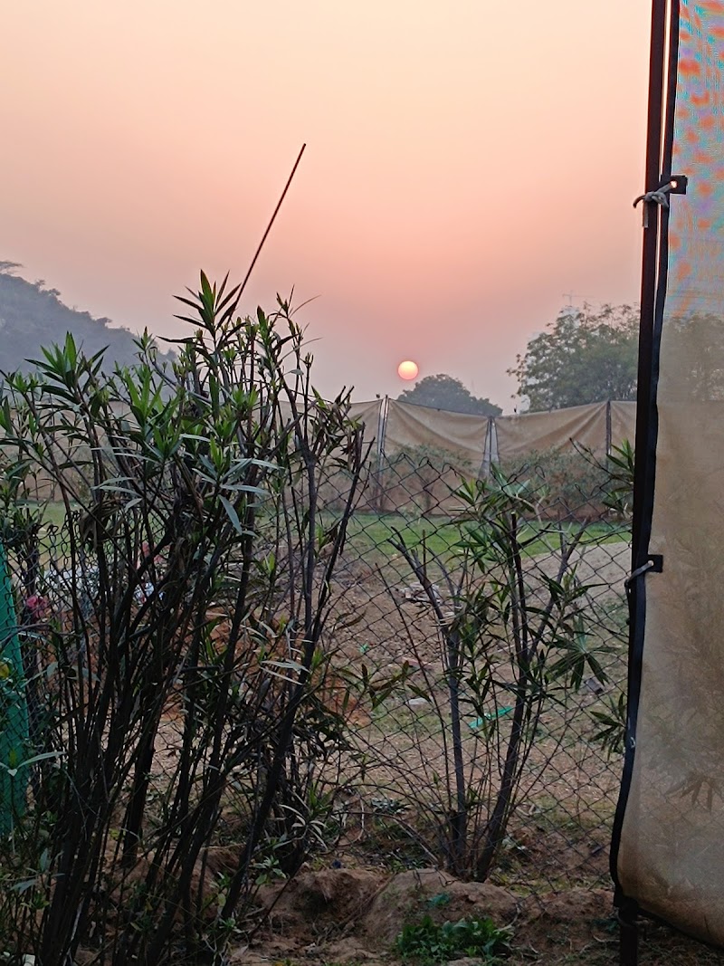 Farm Aravali - Farm Aravali, Leopard trail, Badshahpur, Tehsil, Hasanpur, Gurugram, Haryana 122101, India