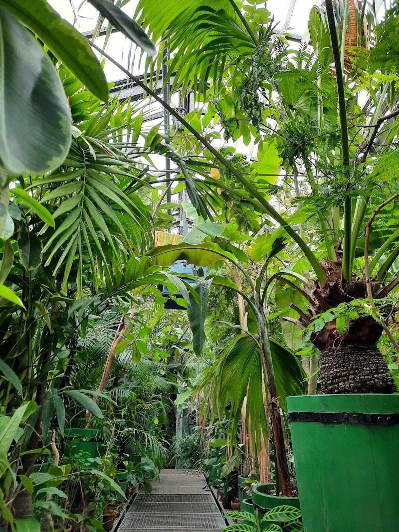 Palmenhaus im Hofgarten - Palmenhaus im Hofgarten Rennweg 12, 6020 Innsbruck, Austria