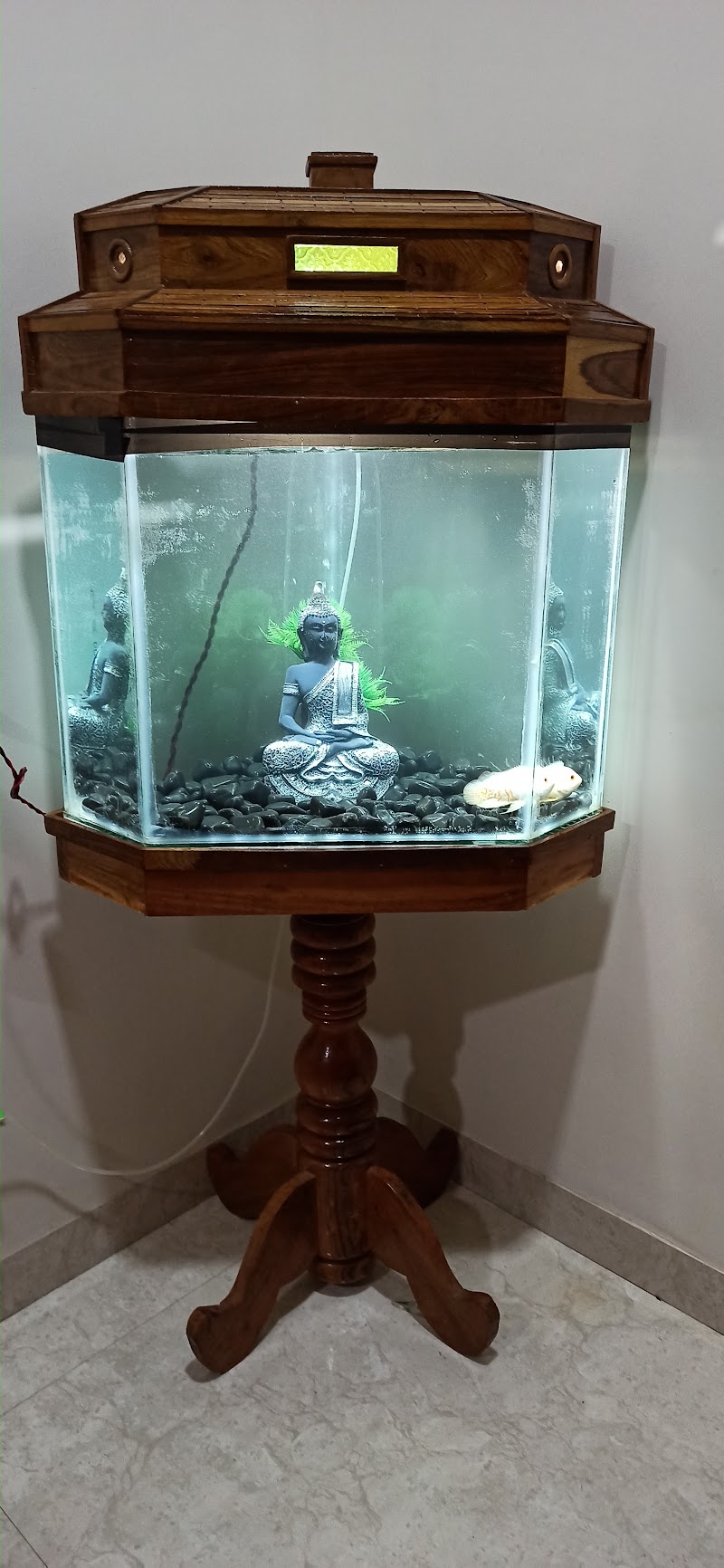 AR Fish hub - AR Fish hub, Street No. 1, Kohka, Bhilai, Chhattisgarh 490023, India
