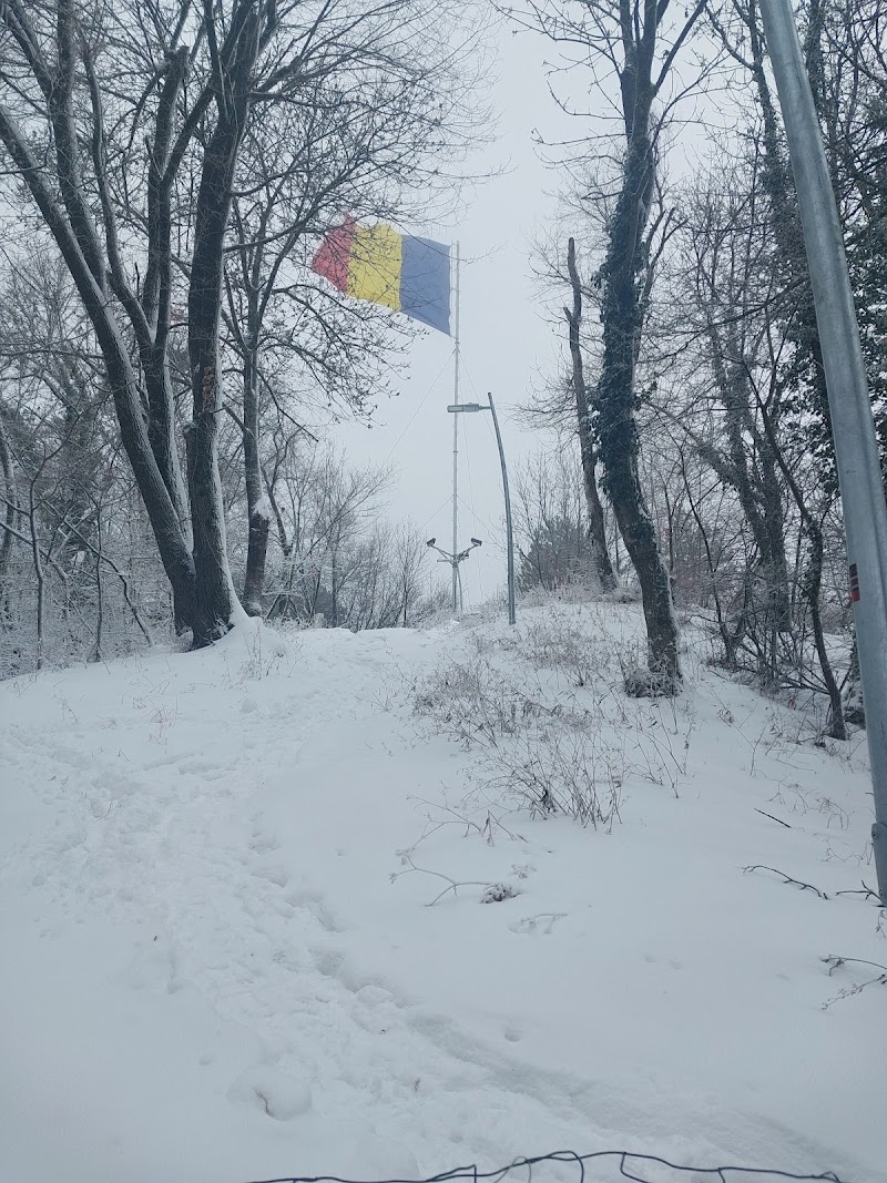 The Romanian flag on Tampa hill - The Romanian flag on Tampa hill, Centrul Vechi, Brașov, Romania