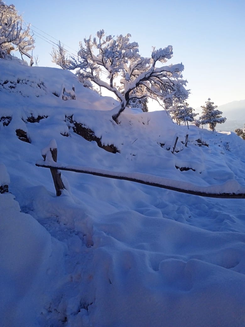 Tranquility In The Himalayas - Tranquility In The Himalayas, Shilon, Bagh, Shimla, Himachal Pradesh 171012, India
