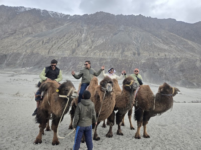 Western Ladakh Travel Agent Company Leh Ladakh Tour - Western Ladakh Travel Agent Company Leh Ladakh Tour, Shanti Stupa Rd Changspa Road Near Bob's Cafe Leh Ladakh Leh Jammu and Kashmir, Leh, 194101
