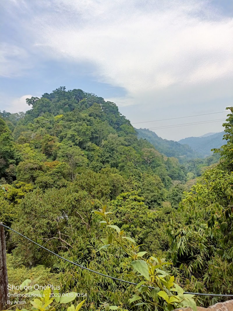 Valara Waterfalls - Valara Waterfalls NH 49, Chillithodu, Kerala 685561, India