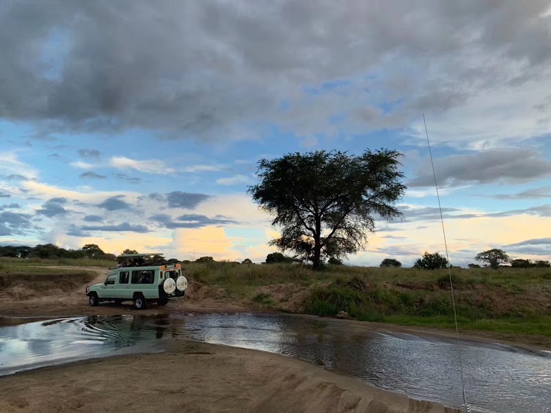 Dolphin Tours & Safaris Ltd - Dolphin Tours & Safaris Ltd, Plot # 32, New Mkuyuni Mwanza TZ, 1906, Tanzania