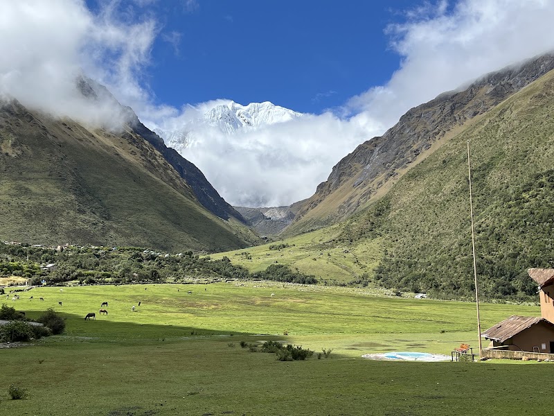 Alpaca Expeditions - Alpaca Expeditions, 157, Office 24, C. Heladeros Street, Cusco 08000, Peru