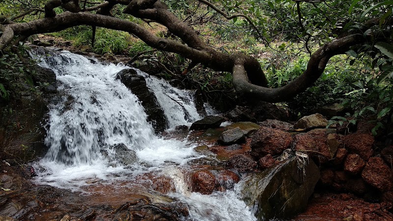 Arbi Falls - Arbi Falls 8QPV+MCR, Manipal, Dasharath Nagar, Badagabettu, Karnataka 576104, India