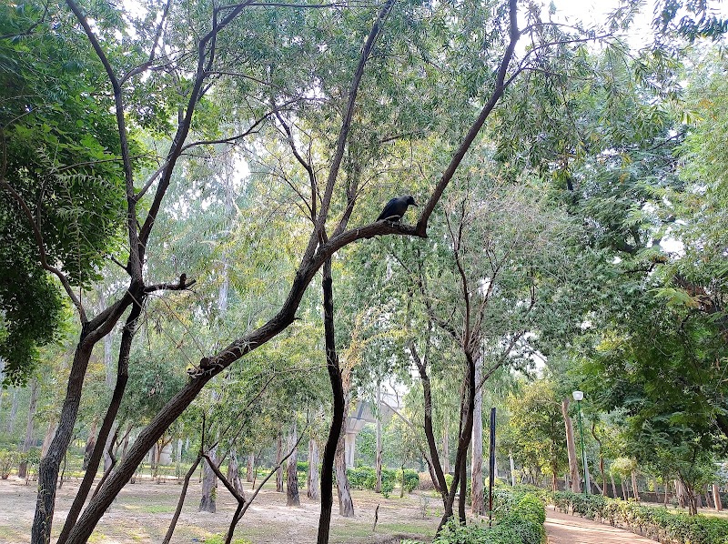 District Park I.P. Extension - District Park I.P. Extension, J8G6+C6F, Khichripur Rd, I.P.Extension, Patparganj, Delhi, 110092, India