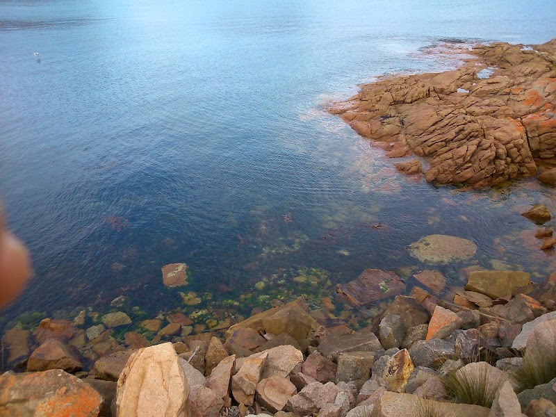Tasmania - Tasmania, Australia