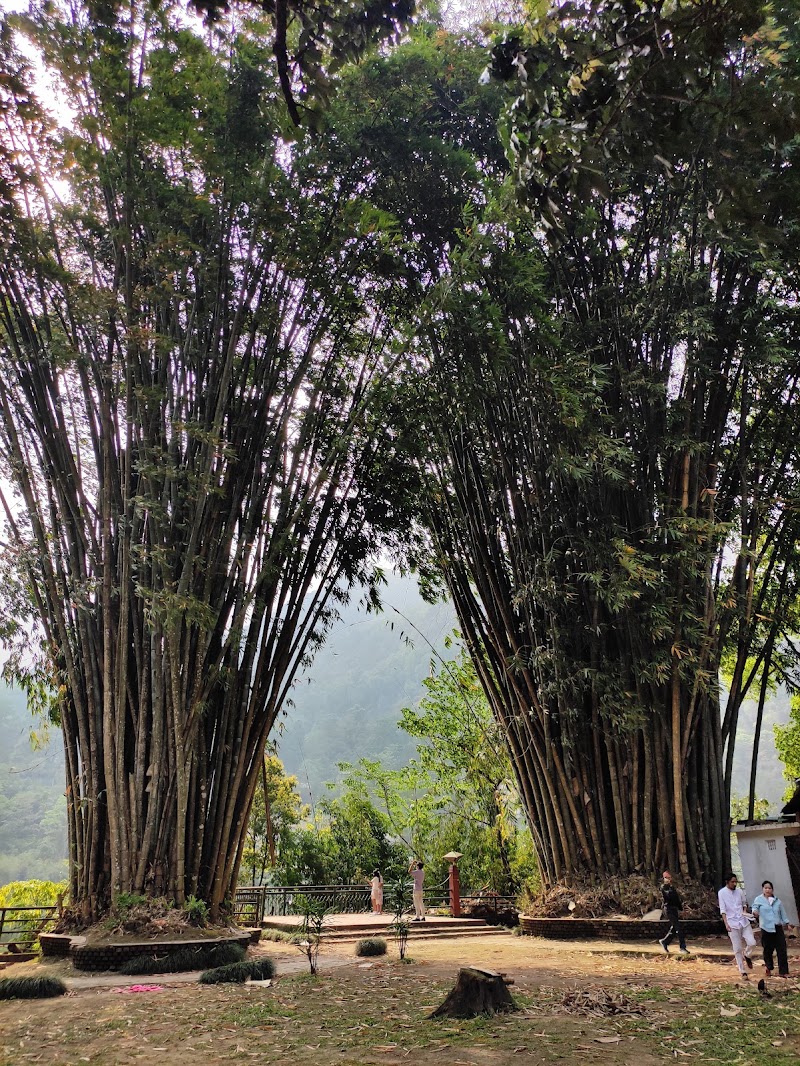 Saramsa Garden - Saramsa Garden 7HGV+RWX, Sikkim 737135, India