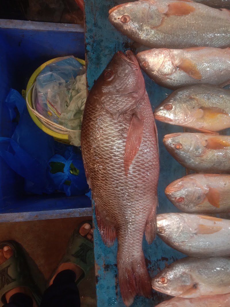 Ponda Fish Market - Ponda Fish Market, C225+XG8, Upper Bazar Rd, Upper Bazar, Antruj Nagar, Ponda, Goa 403401, India