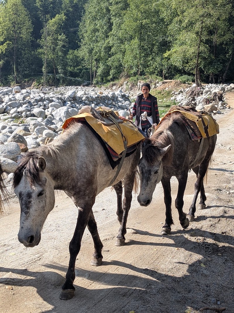 Vashisht Village - Vashisht Village 758Q+54J, waterfall Road, near hot spring, Manali, Bashisht, Himachal Pradesh 175103, India