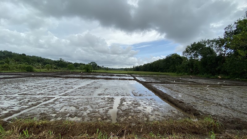 Kosgoda - Kosgoda, Sri Lanka