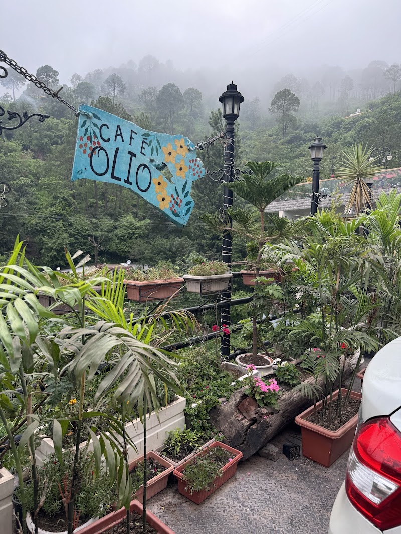 Cafe olio microbrewery and bar - Cafe olio microbrewery and bar Mandomatkanda, Dharampur, Himachal Pradesh 173201, India