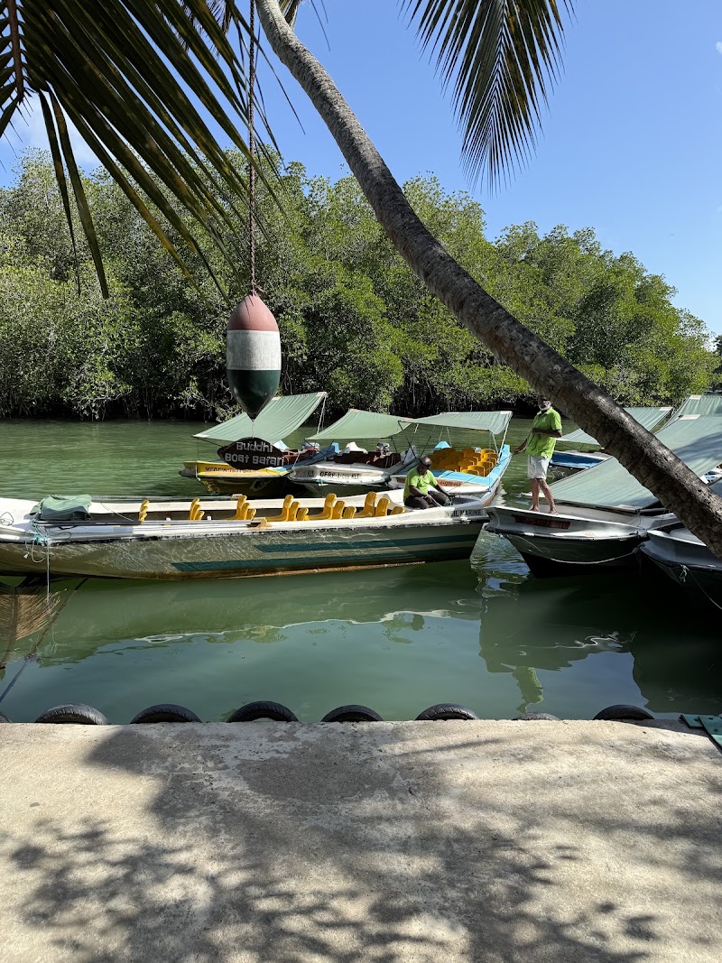 Madu River Safari by Buddhi - Madu River Safari by Buddhi, 11/9 Elathota Rd, Balapitiya 80550, Sri Lanka