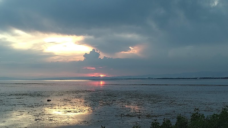 San Vicente Marine Sanctuary - San Vicente Marine Sanctuary, 62XF+C4Q, Lapu-Lapu, Philippines