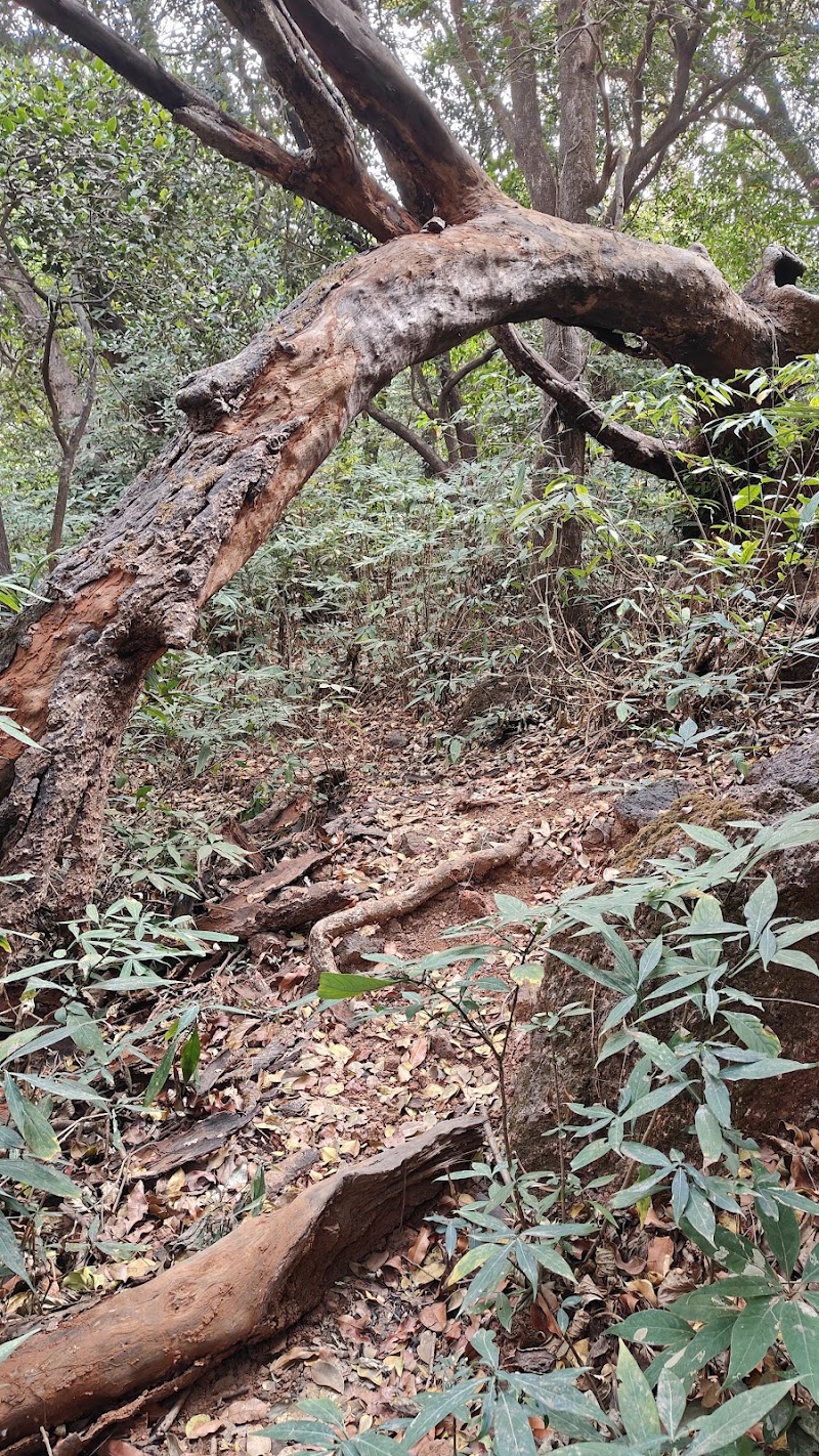 Garbett waterfall point - Garbett waterfall point X7VM+4RR, Matheran, Maharashtra 410102, India