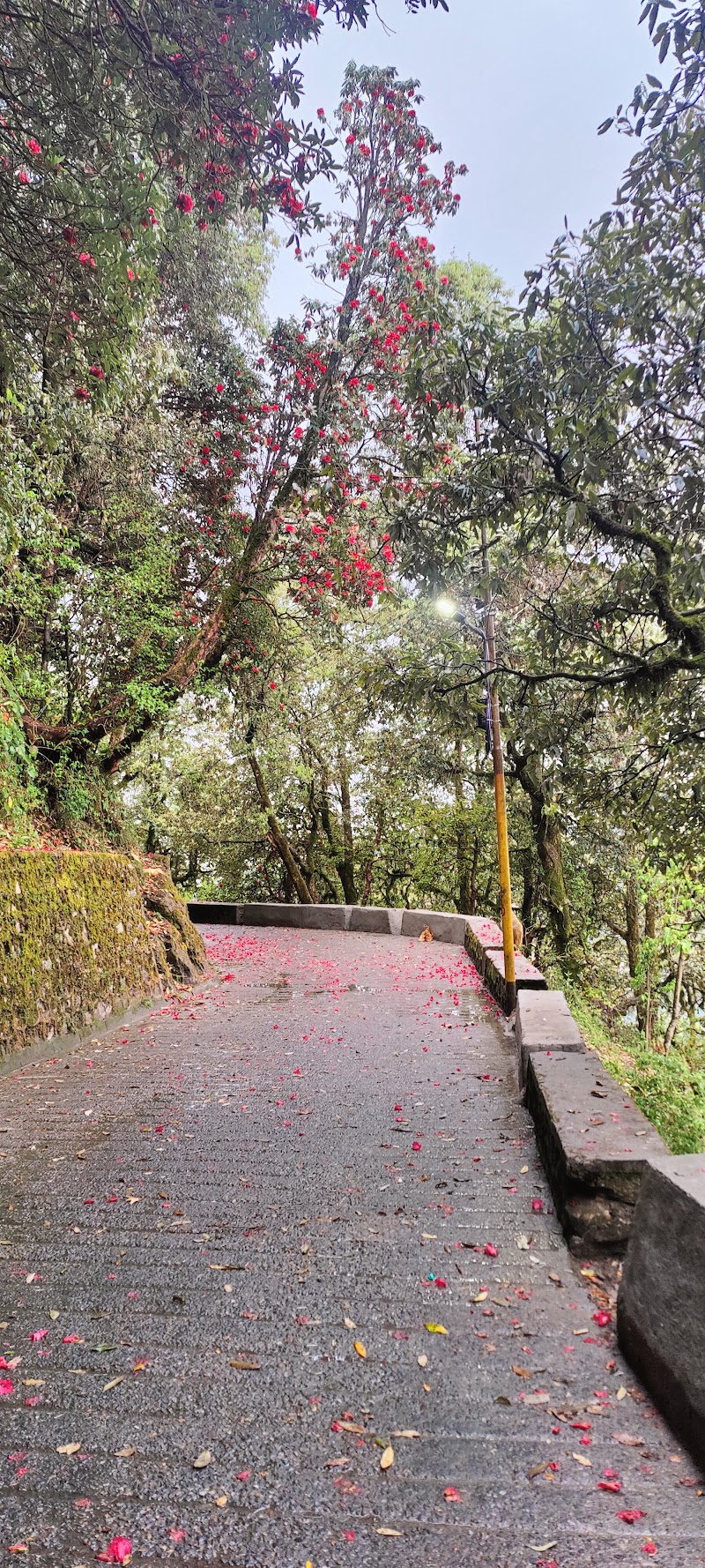 Landour Villa & Cottage - Landour Villa & Cottage, F37V+2JH, Naya Mohalla, Landour, Mussoorie, Uttarakhand 248179, India