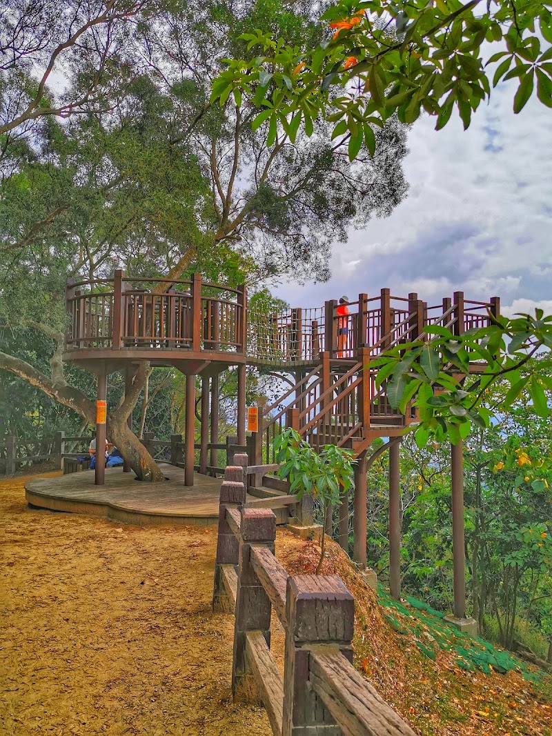 Dakeng Trail No.10 - Dakeng Trail No.10, Lane 383, Section 1, Dongshan Rd, Beitun District, Taichung City, Taiwan 406