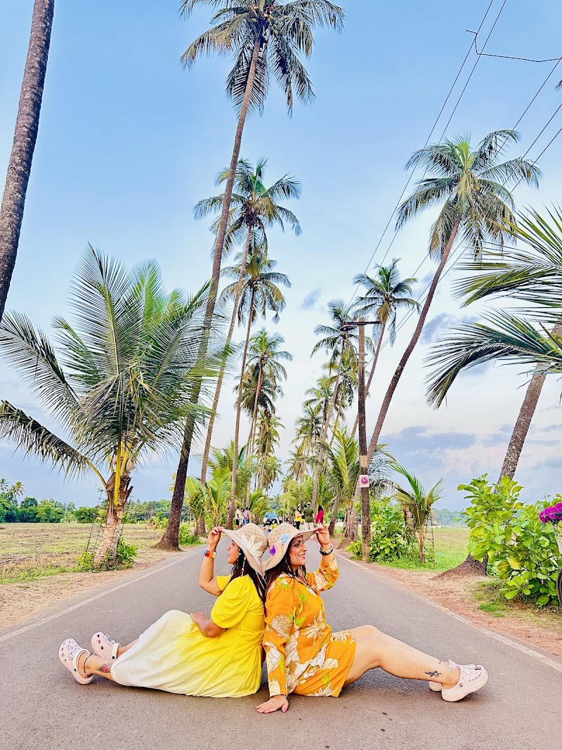 Dear Zindagi Movie Parra Road - Dear Zindagi Movie Parra Road, St. Annes Church Rd, Parra, Goa 403510, India