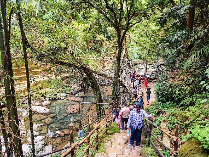 Living root bridge - Living root bridge 62HJ+5HP, Unnamed Road, Mawlynnong, Meghalaya 793161, India