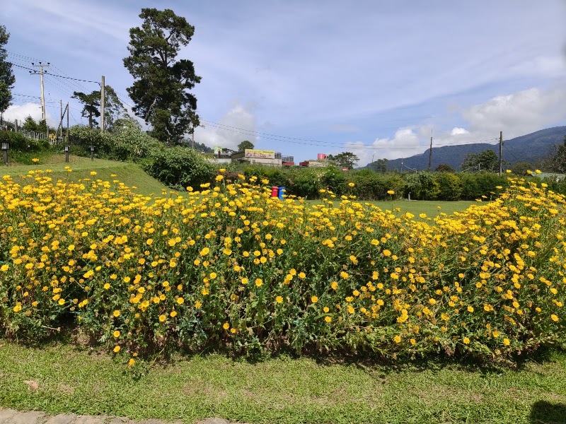 Gregory Park - Gregory Park, XQ4G+PX6, Peradeniya-Badulla-Chenkaladi Hwy, Nuwara Eliya 22200, Sri Lanka