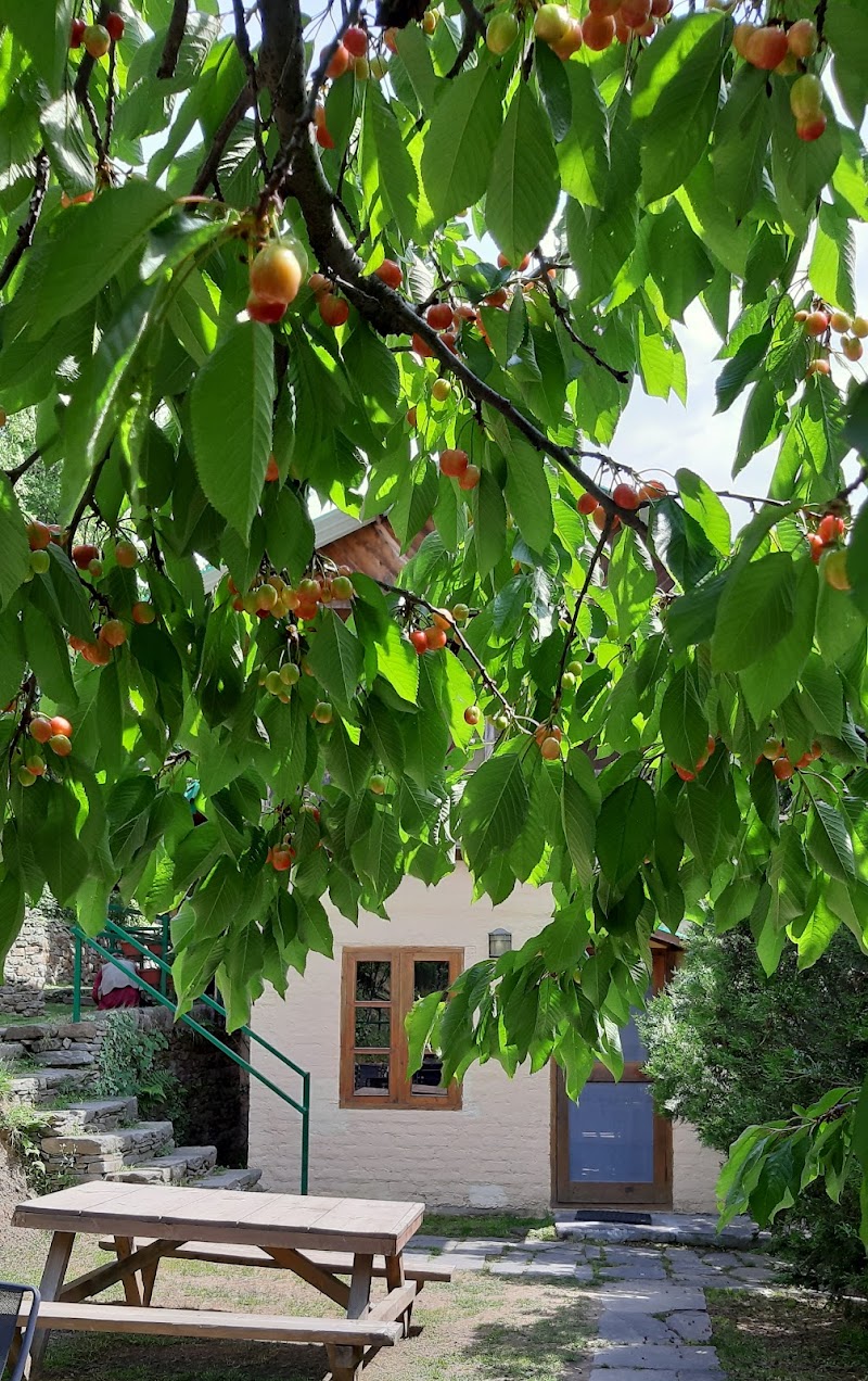 Seetalvan Orchard - Seetalvan Orchard, Kotgarh Narkanda, Shimla, Himachal Pradesh 172031, India