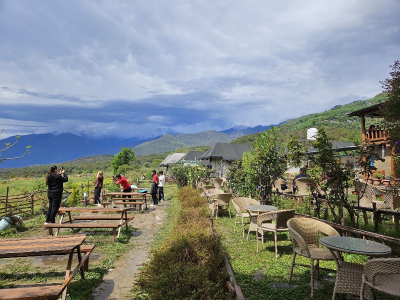 The Northern Cafe - The Northern Cafe Above 150m, Bir Colony Rd, Bir, Suja, Himachal Pradesh 176077, India