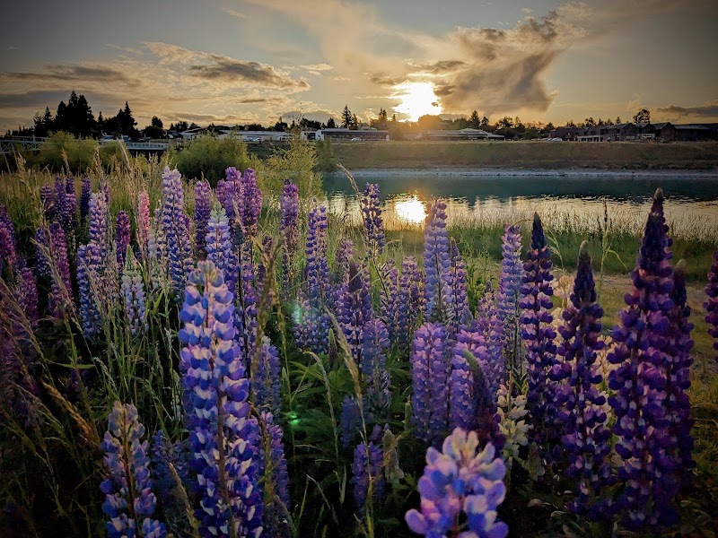 Lake Tekapo - Lake Tekapo Lake Tekapo 7999, New Zealand