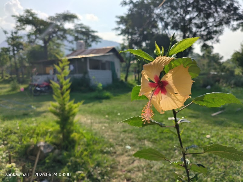 The Bagicha - The Bagicha, vill lahar, The bagicha, p.o gunehar, Teh, baijnath, Bir, Himachal Pradesh 175032, India