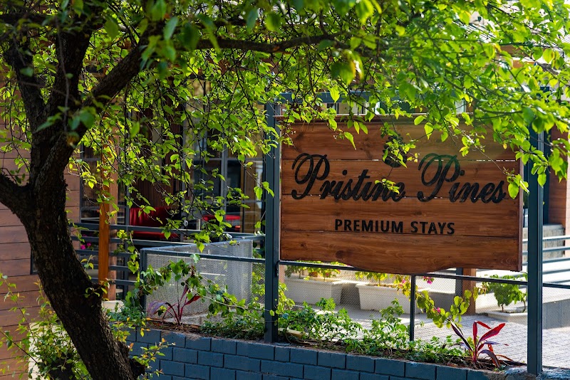 Pristine Pines - Pristine Pines Sanawar road, Sukhi jori, Kasauli, Dharampur, Himachal Pradesh 173209, India