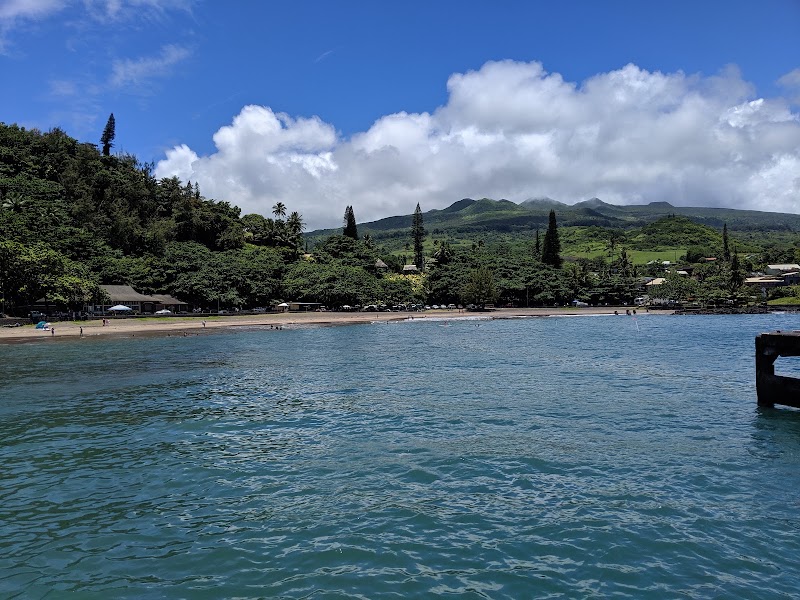 Hāna Bay Beach Park - Hāna Bay Beach Park 150 Keawa Pl, Hana, HI 96713, USA